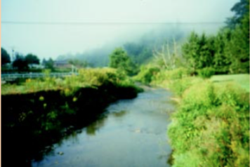 Figure 15. Basin: Watauga. Stream Type: F4.